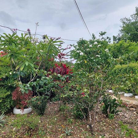 Alex'S Place - Tim Pappies Port Antonio Buitenkant foto