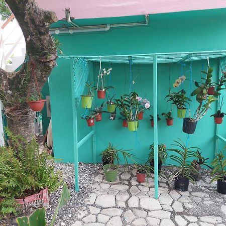 Alex'S Place - Tim Pappies Port Antonio Buitenkant foto