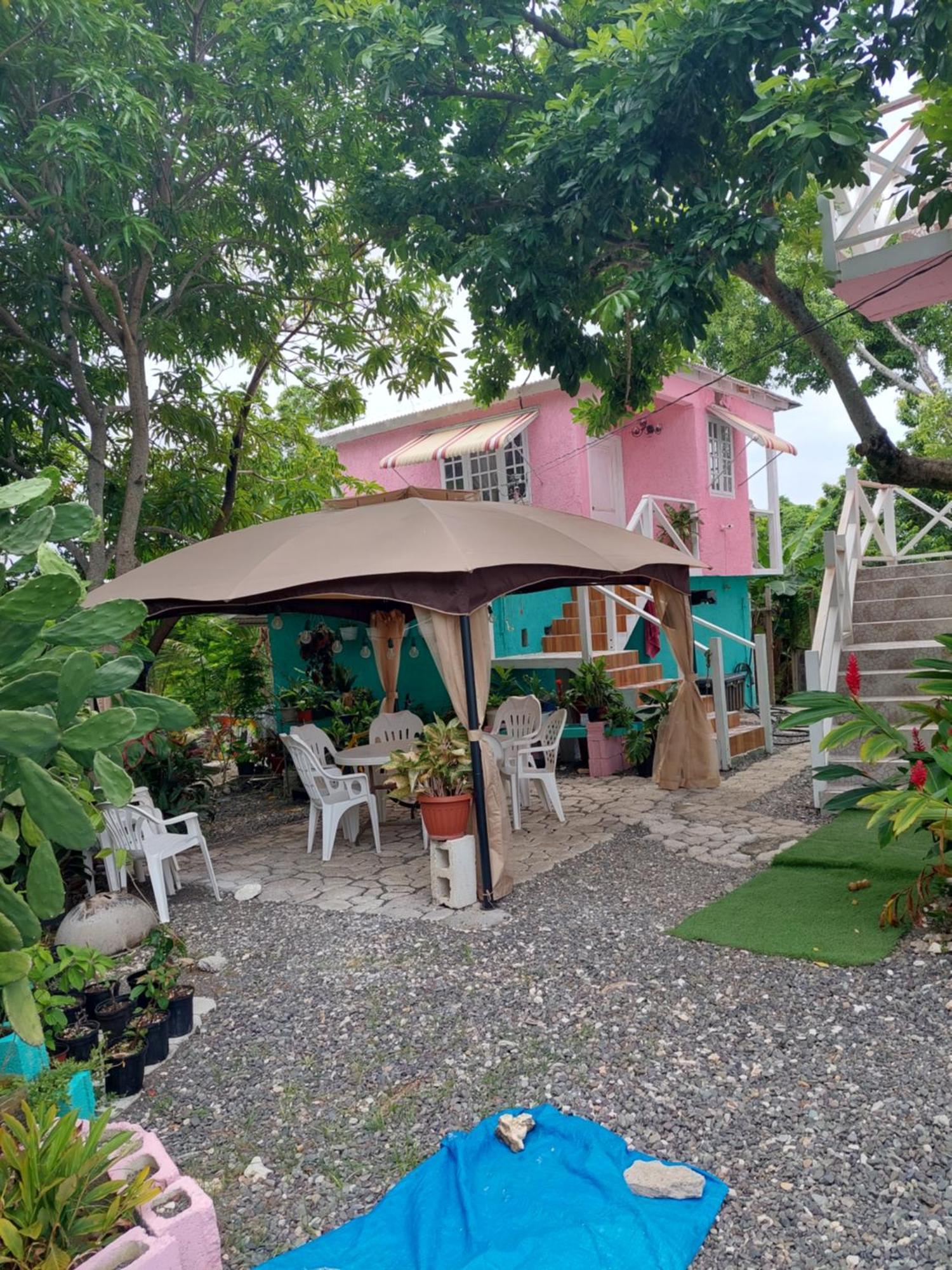 Alex'S Place - Tim Pappies Port Antonio Buitenkant foto